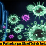Tips Imunitas Perlindungan Alami Tubuh Anda