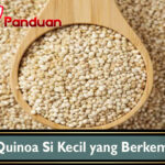 Manfaat Quinoa Si Kecil yang Berkembang biak