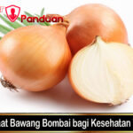 Manfaat Bawang Bombai bagi Kesehatan Tubuh