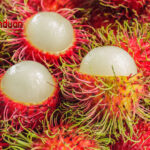 Manfaat Buah Rambutan untuk Kesehatan