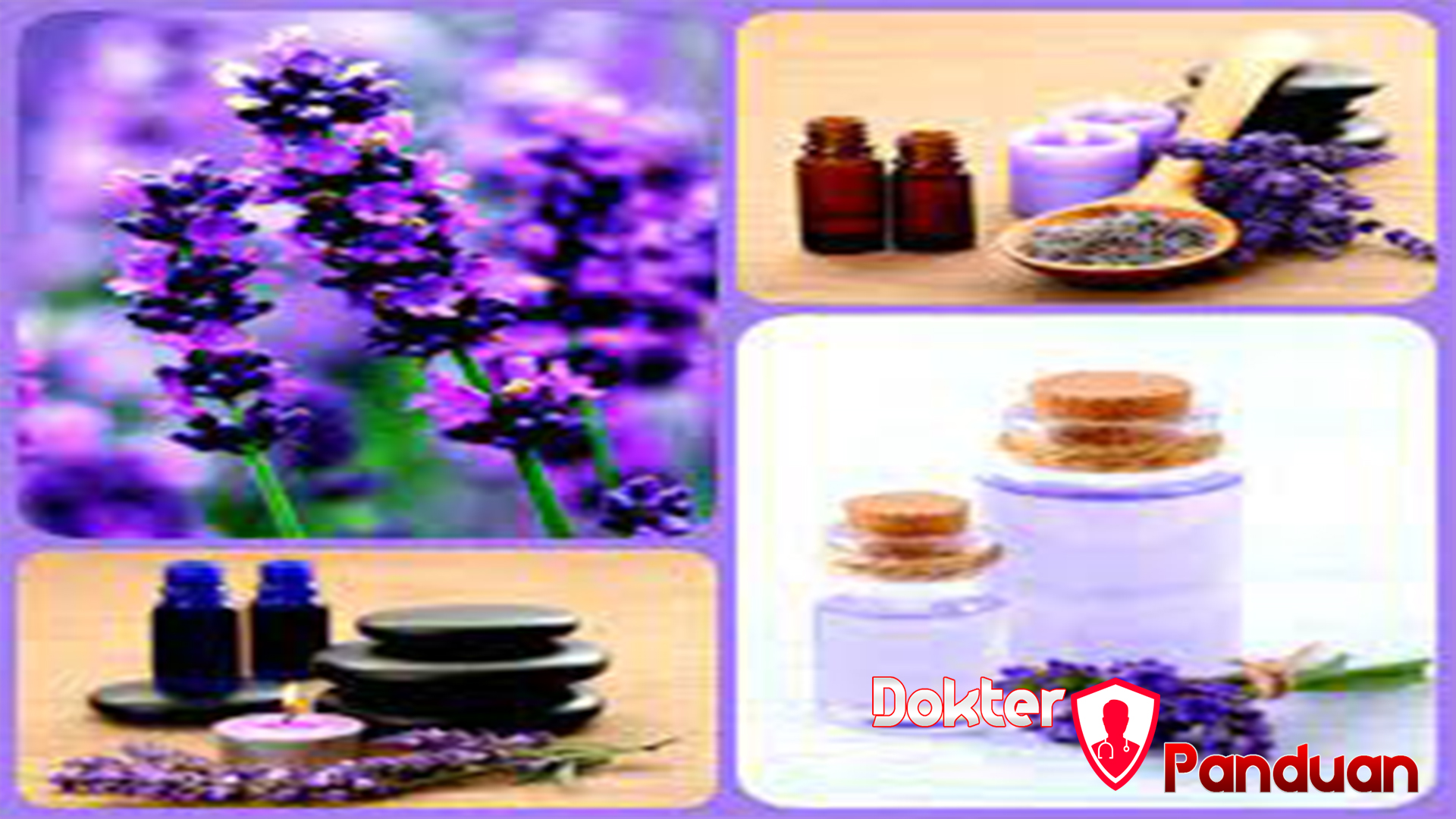 9 Manfaat Bunga Lavender yang Jarang Diketahui